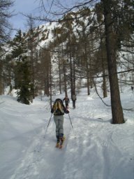 20080127-01.JPG: $%i