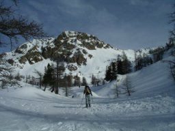 20080127-06.JPG: 20080127