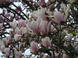 080301_IMGP0021.JPG