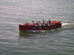 IMGP0917.JPG