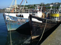 IMGP0922.JPG