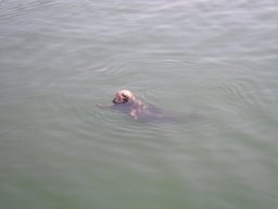 IMGP0924.JPG