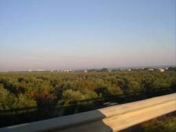 100820_IMGP0081.JPG