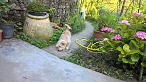 TN_WP_20180617_08_16_19_Pro.JPG