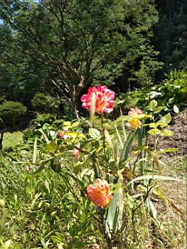 TN_IMG_20200628_141811461.JPG