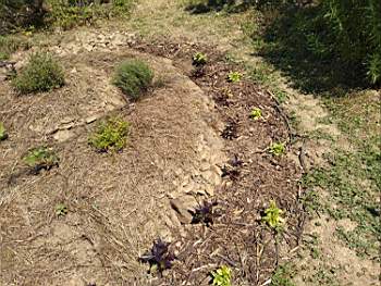 TN_IMG_20200628_142534174.JPG